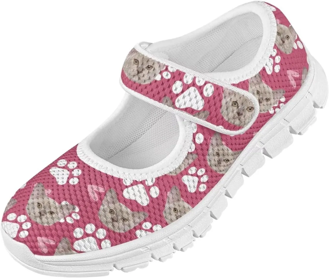 JoyLamoria Cute Axolotl Girls Flats Sneakers Pink Mary Jane Shoes Toddler and Little Girls Dress Shoes Slip on School Uniform Shoes